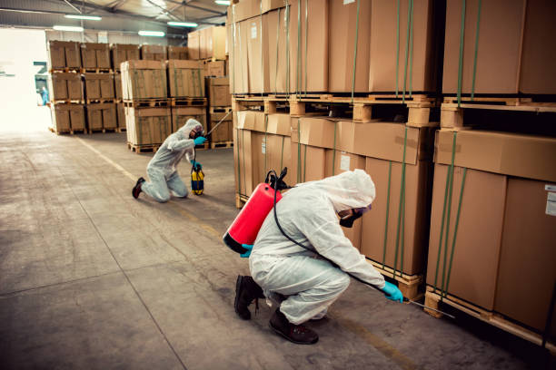 Best Affordable Pest Control Services  in Manawa, WI