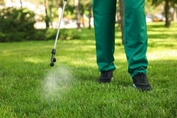 Best Pest Inspection Near Me  in Manawa, WI