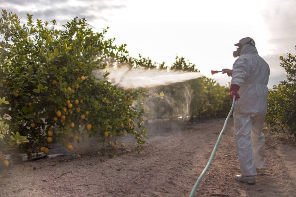 Best Pest Prevention Services  in Manawa, WI