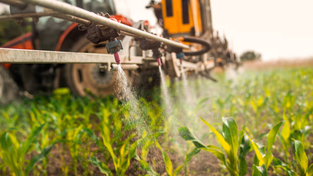 Best Pest Control Near Me  in Manawa, WI