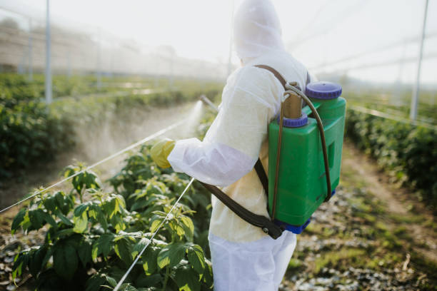 Best Termite Control Services  in Manawa, WI